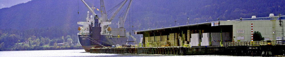 MV Bright State loading pulp products in Crofton BC