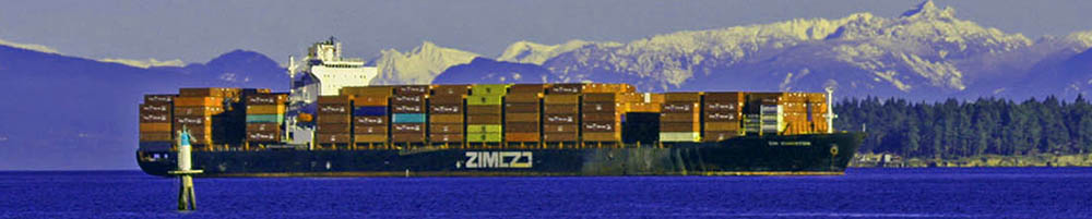 Damaged Zim Kingston sits at anchor off Nanaimo, bc, Canada. Picture by Martin Leduc, 01.2022