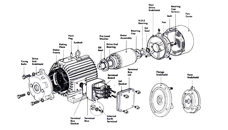 INSTALLATION AND CARE OF ELECTRIC MOTORS. No Author.